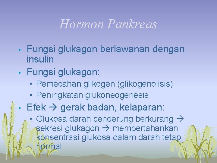 Hormon Pankreas • • Fungsi glukagon berlawanan dengan insulin Fungsi glukagon: • Pemecahan glikogen