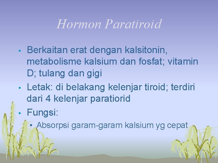 Hormon Paratiroid • • • Berkaitan erat dengan kalsitonin, metabolisme kalsium dan fosfat; vitamin