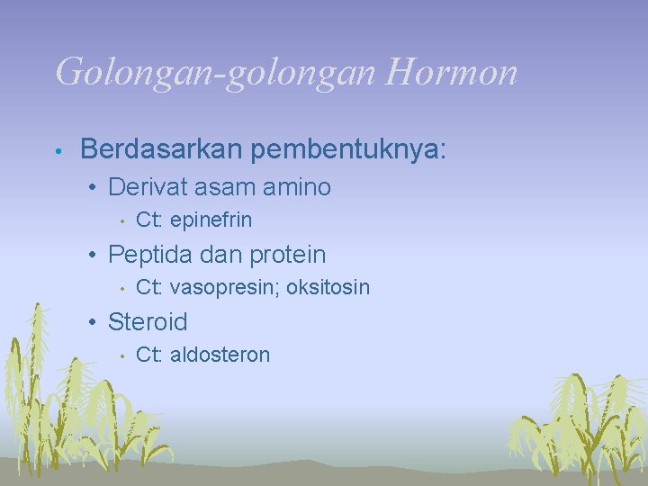 Golongan-golongan Hormon • Berdasarkan pembentuknya: • Derivat asam amino • Ct: epinefrin • Peptida