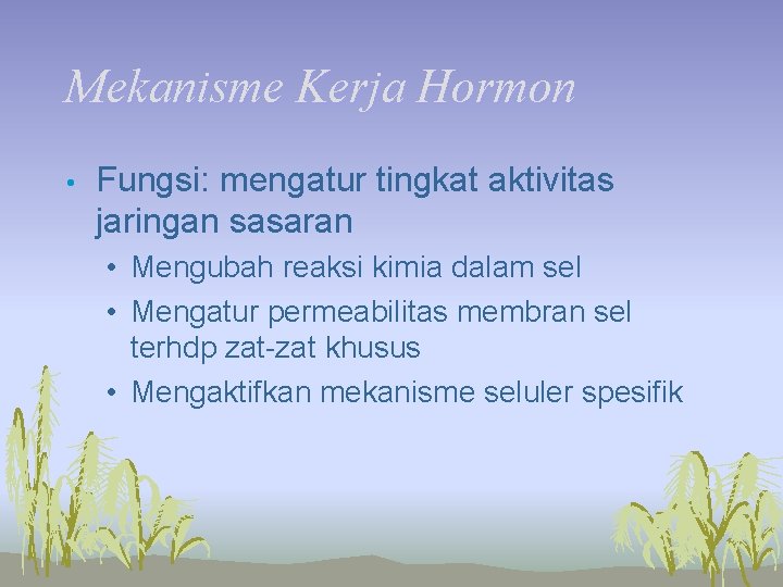 Mekanisme Kerja Hormon • Fungsi: mengatur tingkat aktivitas jaringan sasaran • Mengubah reaksi kimia