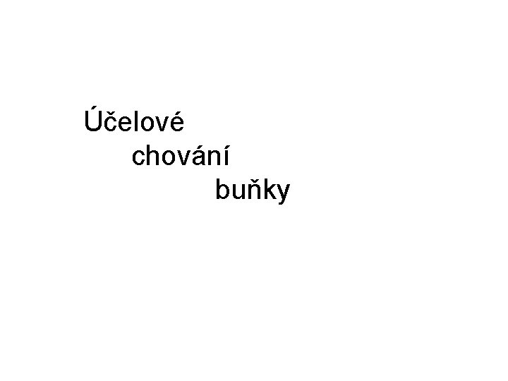 Účelové chování buňky 