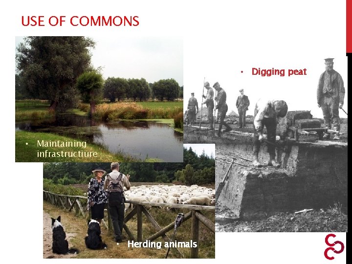 USE OF COMMONS • Digging peat • Maintaining infrastructiure • Herding animals 