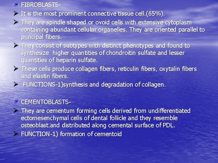 Ø Ø Ø Ø FIBROBLASTSIt is the most prominent connective tissue cell. (65%). They