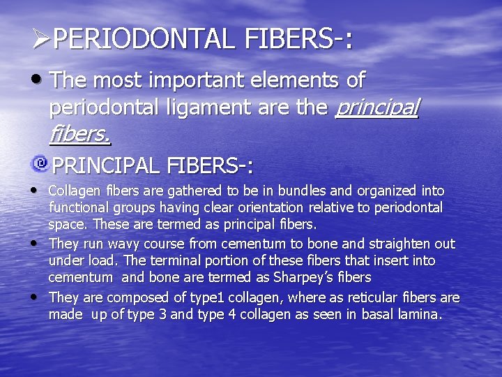 ØPERIODONTAL FIBERS-: • The most important elements of periodontal ligament are the principal fibers.