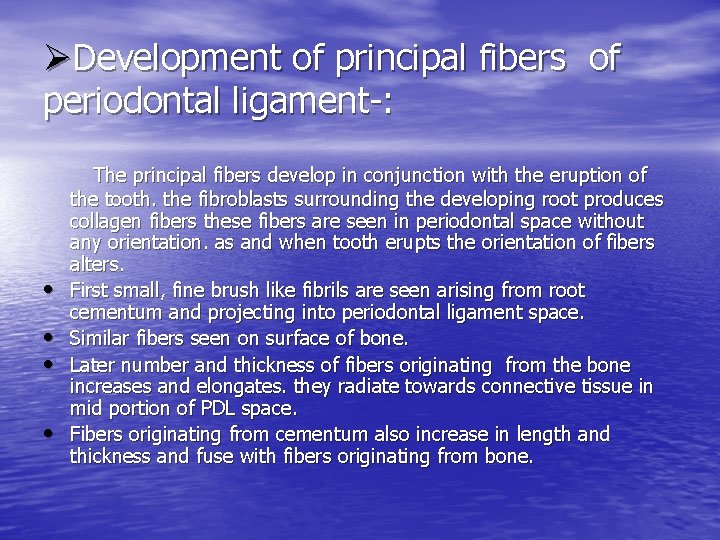 ØDevelopment of principal fibers of periodontal ligament-: • • The principal fibers develop in