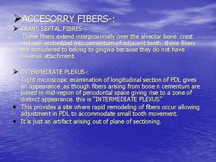 ØACCESORRY FIBERS-: Ø TRANS SEPTAL FIBRES-: These fibers extend interproximally over the alveolar bone