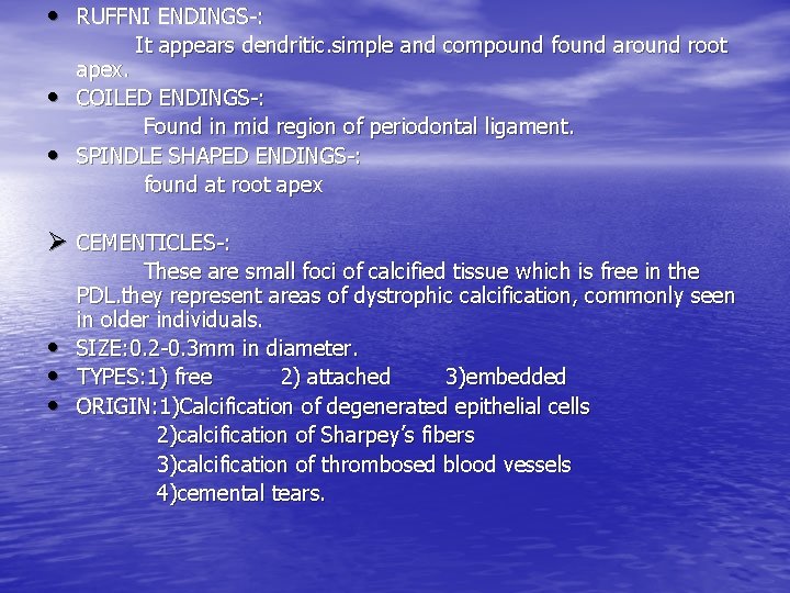  • RUFFNI ENDINGS-: It appears dendritic. simple and compound found around root •