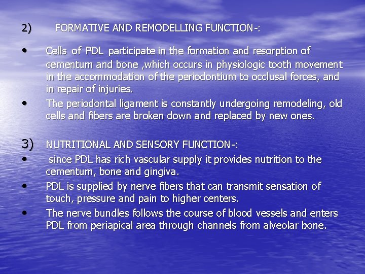 2) • • FORMATIVE AND REMODELLING FUNCTION-: Cells of PDL participate in the formation