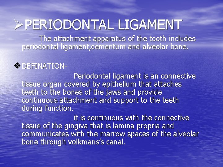 ØPERIODONTAL LIGAMENT The attachment apparatus of the tooth includes periodontal ligament, cementum and alveolar