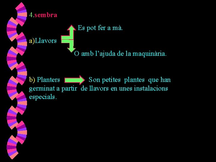 4. sembra Es pot fer a mà. a)Llavors O amb l’ajuda de la maquinària.