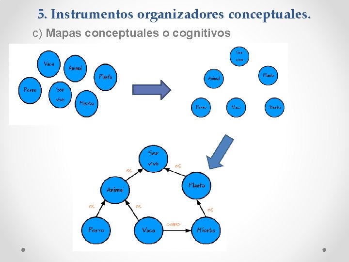 5. Instrumentos organizadores conceptuales. c) Mapas conceptuales o cognitivos 