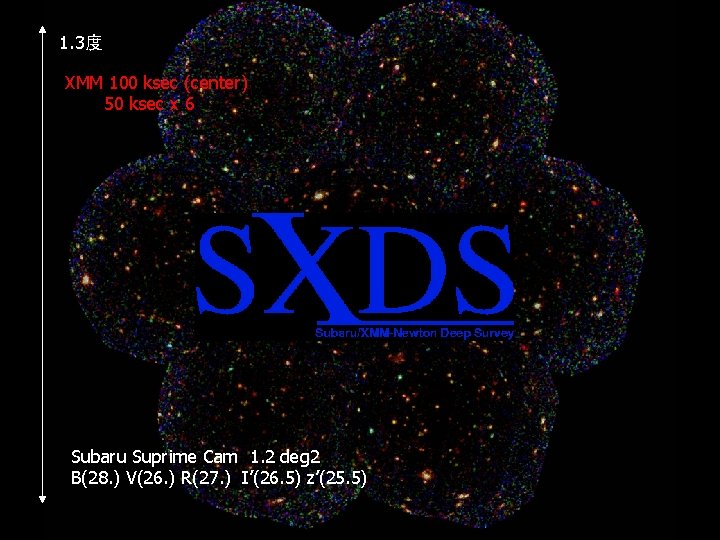 1. 3度 XMM 100 ksec (center) 50 ksec x 6 Subaru Suprime Cam 1.