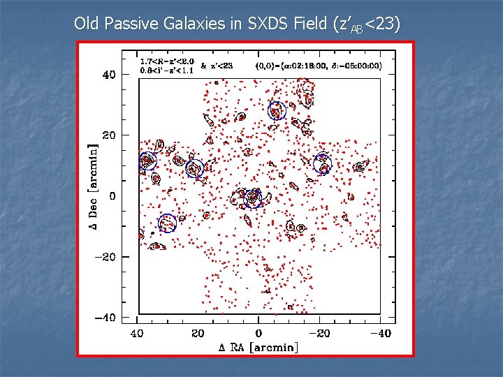 Old Passive Galaxies in SXDS Field (z’AB<23) 