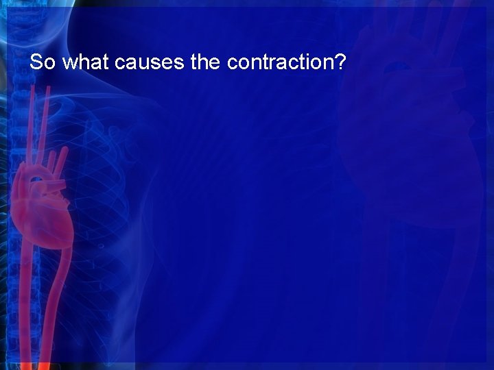 So what causes the contraction? 