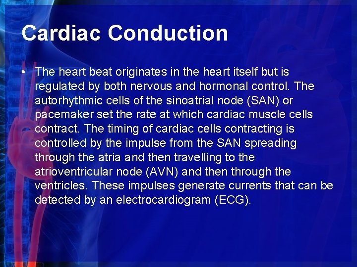 Cardiac Conduction • The heart beat originates in the heart itself but is regulated