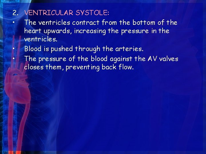 2. VENTRICULAR SYSTOLE: • The ventricles contract from the bottom of the heart upwards,