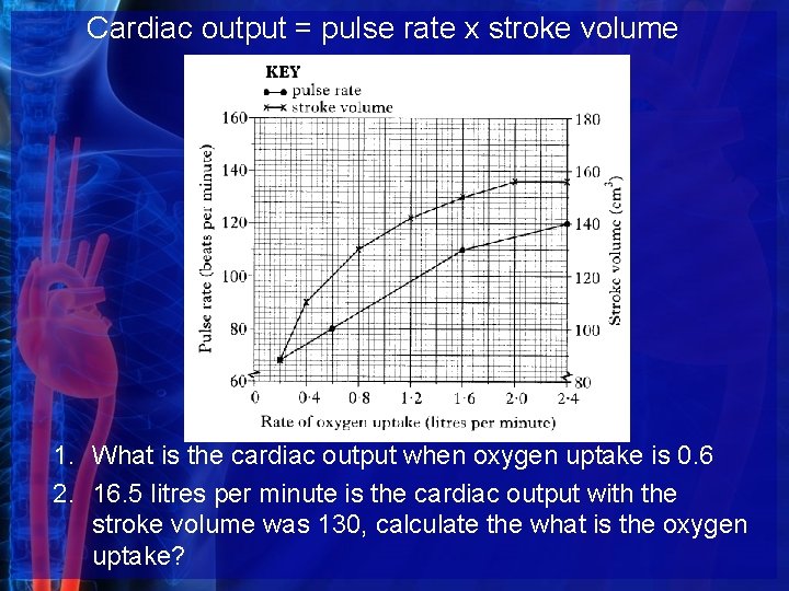 Cardiac output = pulse rate x stroke volume 1. What is the cardiac output