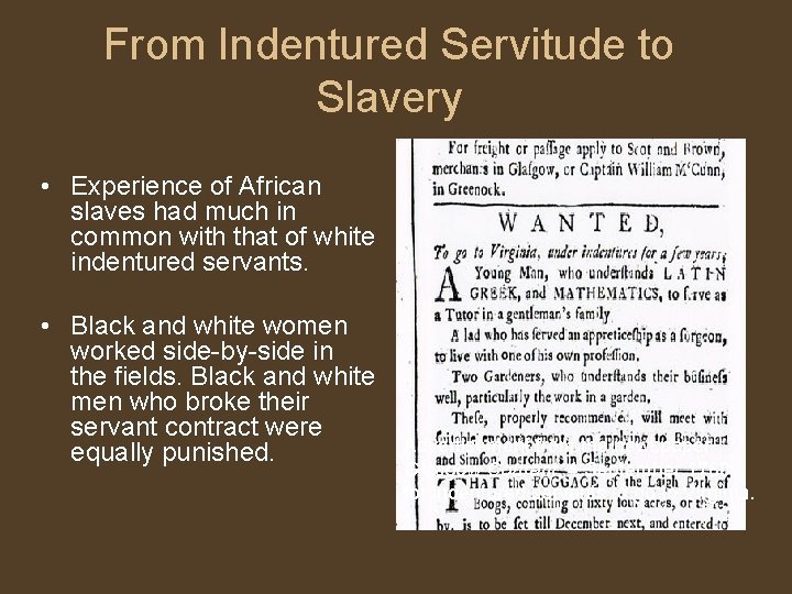 From Indentured Servitude to Slavery • Experience of African slaves had much in common