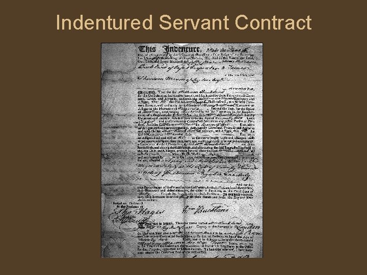 Indentured Servant Contract 