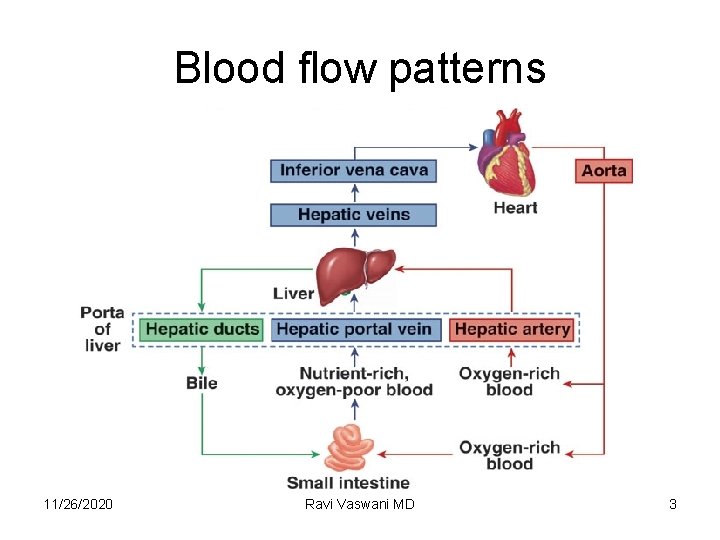 Blood flow patterns 11/26/2020 Ravi Vaswani MD 3 