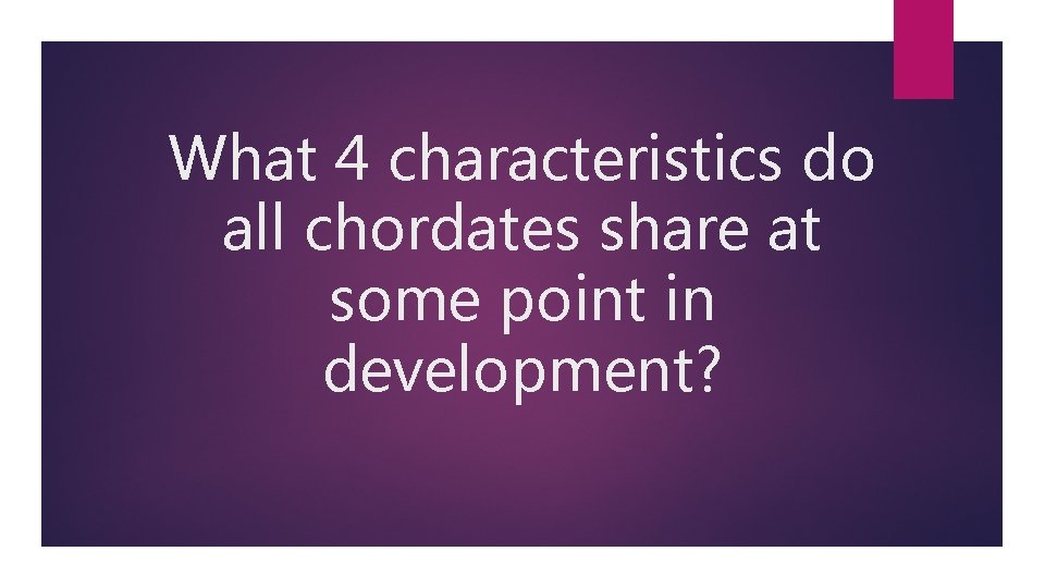 What 4 characteristics do all chordates share at some point in development? 