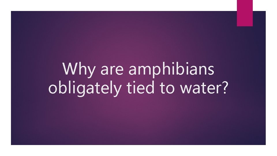 Why are amphibians obligately tied to water? 