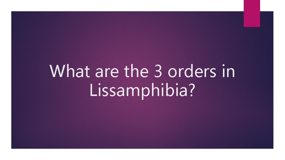 What are the 3 orders in Lissamphibia? 