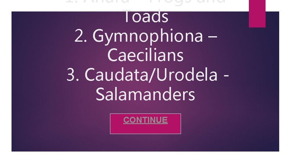 1. Anura – Frogs and Toads 2. Gymnophiona – Caecilians 3. Caudata/Urodela Salamanders CONTINUE