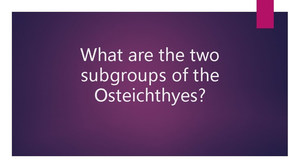 What are the two subgroups of the Osteichthyes? 
