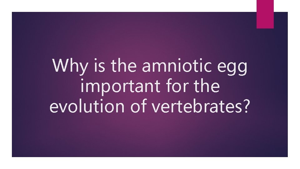 Why is the amniotic egg important for the evolution of vertebrates? 