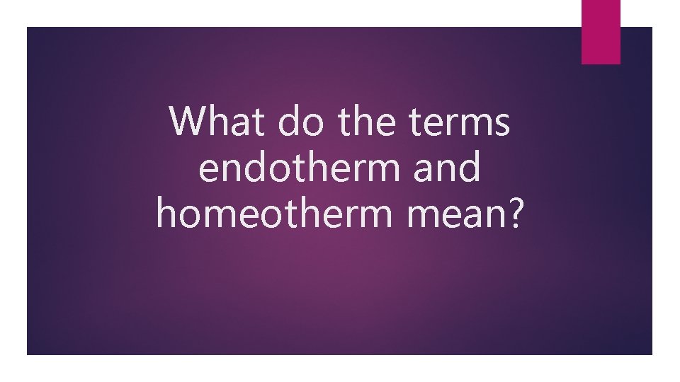 What do the terms endotherm and homeotherm mean? 