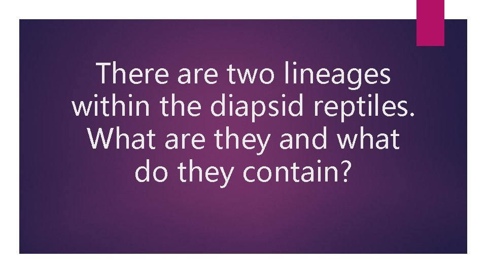 There are two lineages within the diapsid reptiles. What are they and what do