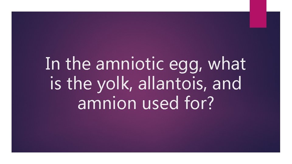In the amniotic egg, what is the yolk, allantois, and amnion used for? 
