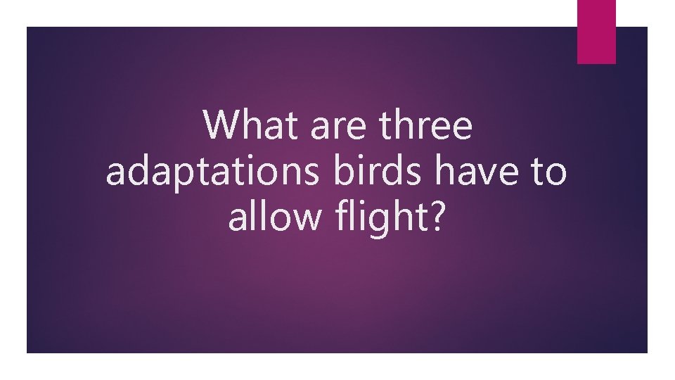 What are three adaptations birds have to allow flight? 