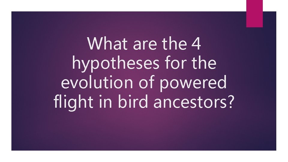 What are the 4 hypotheses for the evolution of powered flight in bird ancestors?