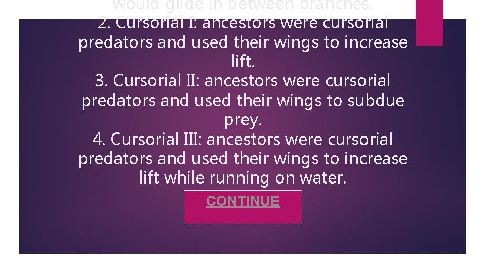would glide in between branches. 2. Cursorial I: ancestors were cursorial predators and used