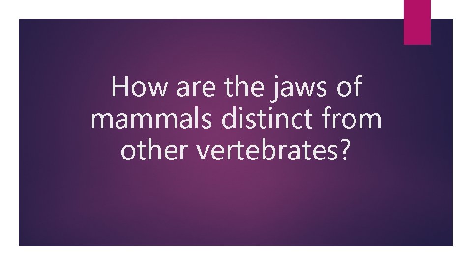 How are the jaws of mammals distinct from other vertebrates? 