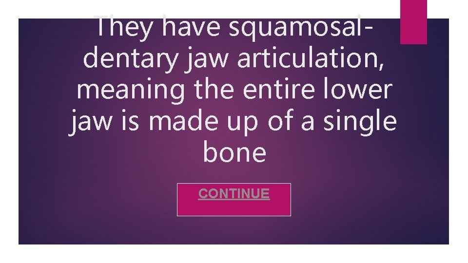 They have squamosaldentary jaw articulation, meaning the entire lower jaw is made up of