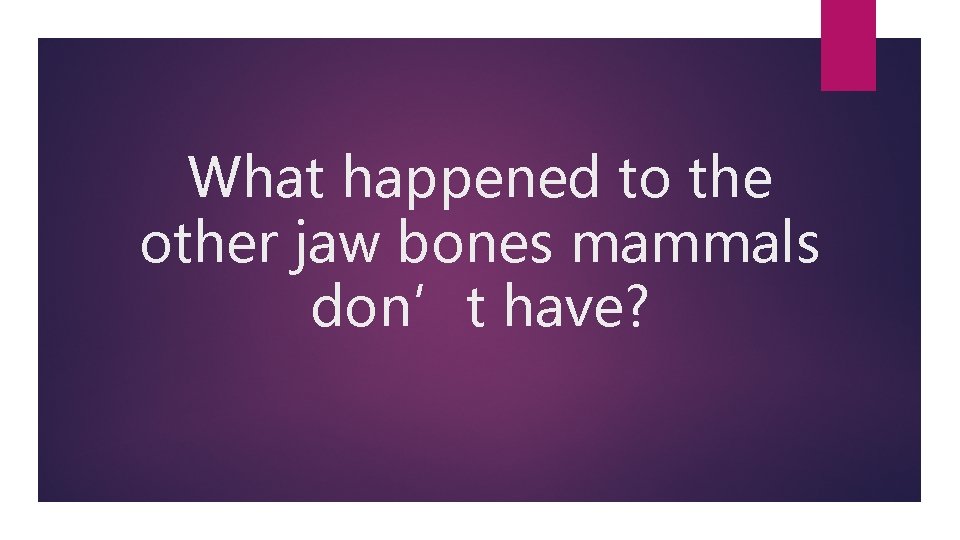 What happened to the other jaw bones mammals don’t have? 