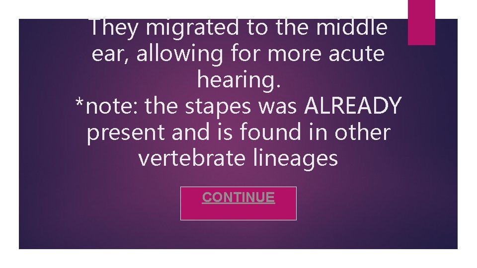 They migrated to the middle ear, allowing for more acute hearing. *note: the stapes