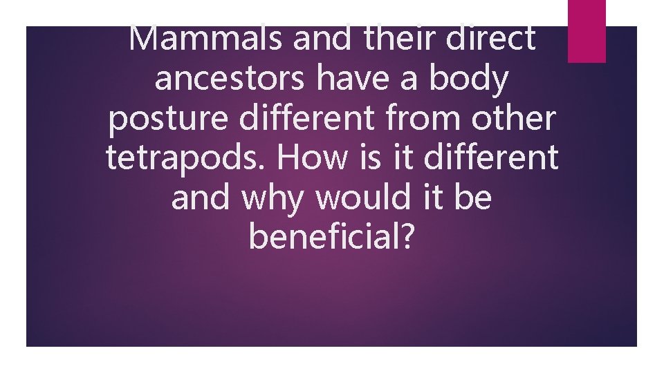 Mammals and their direct ancestors have a body posture different from other tetrapods. How