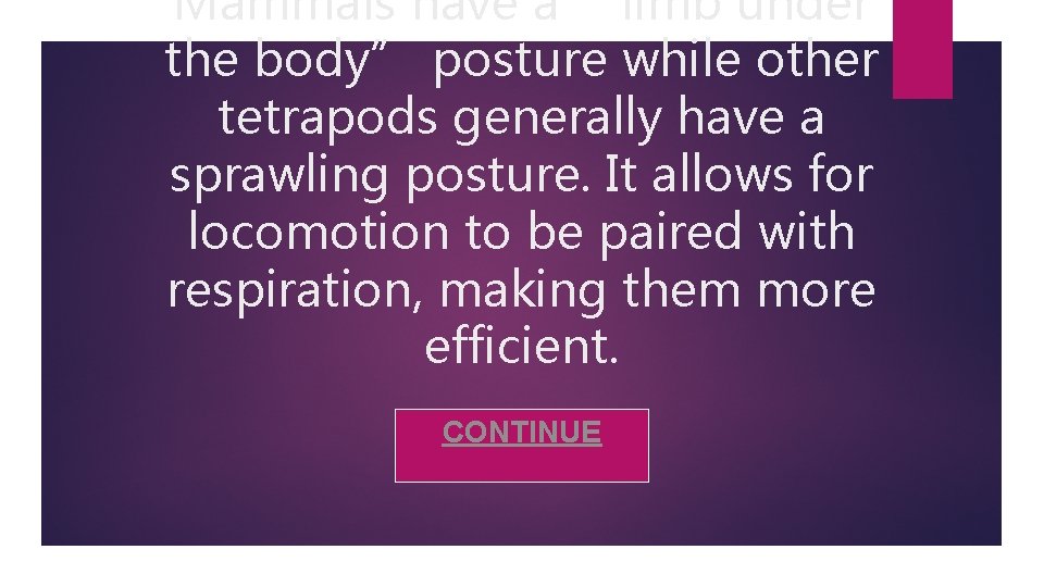 Mammals have a “limb under the body” posture while other tetrapods generally have a