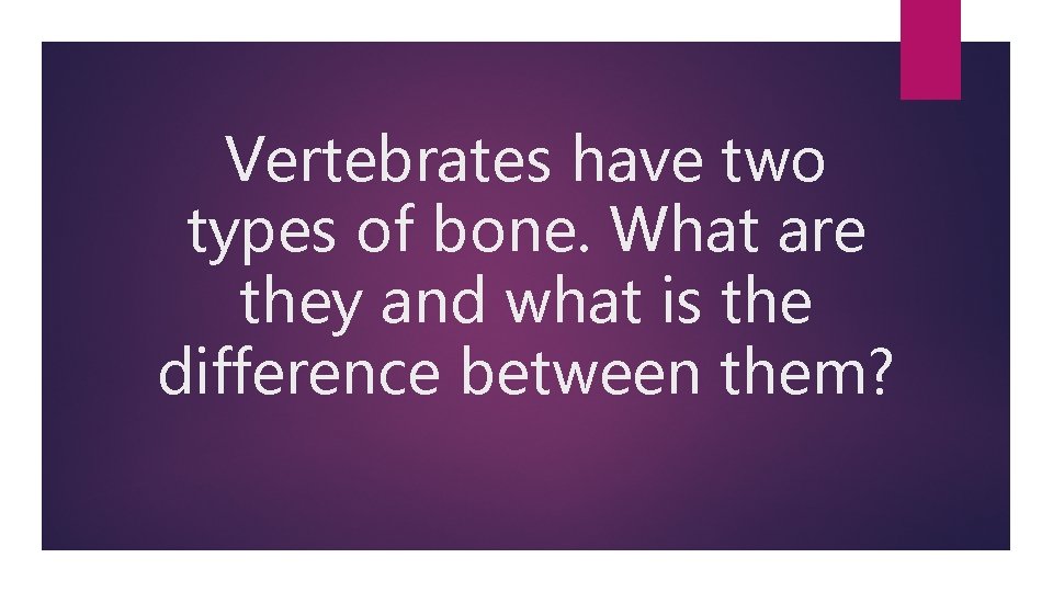 Vertebrates have two types of bone. What are they and what is the difference