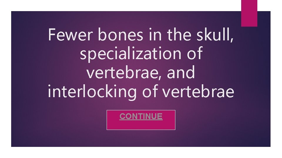 Fewer bones in the skull, specialization of vertebrae, and interlocking of vertebrae CONTINUE 