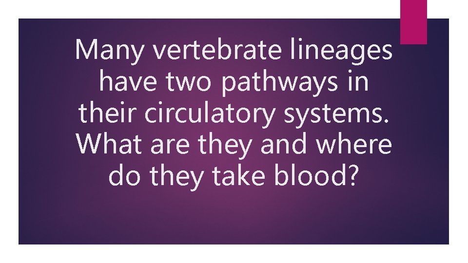 Many vertebrate lineages have two pathways in their circulatory systems. What are they and