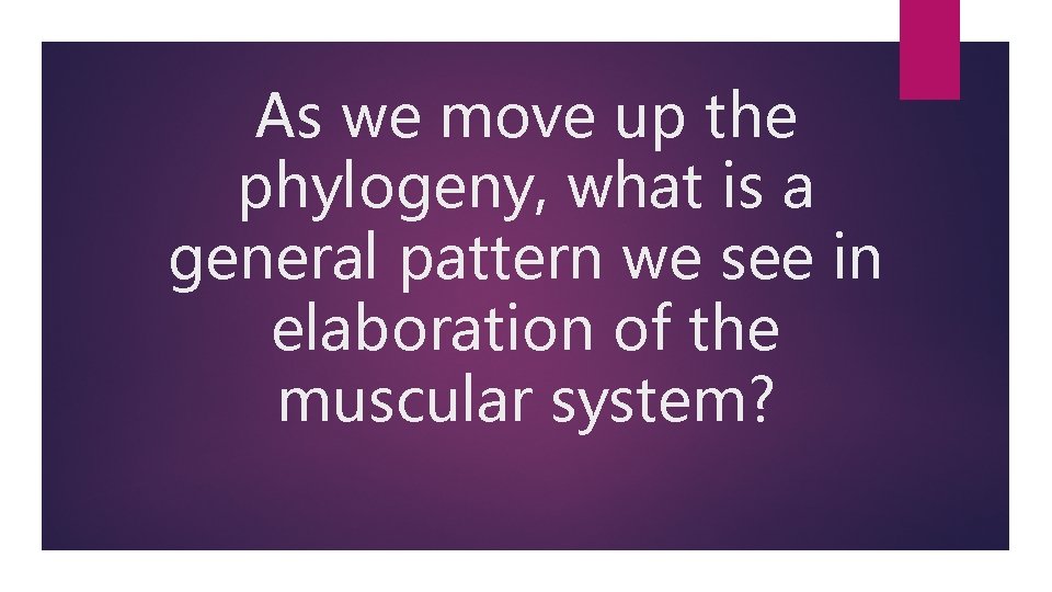 As we move up the phylogeny, what is a general pattern we see in