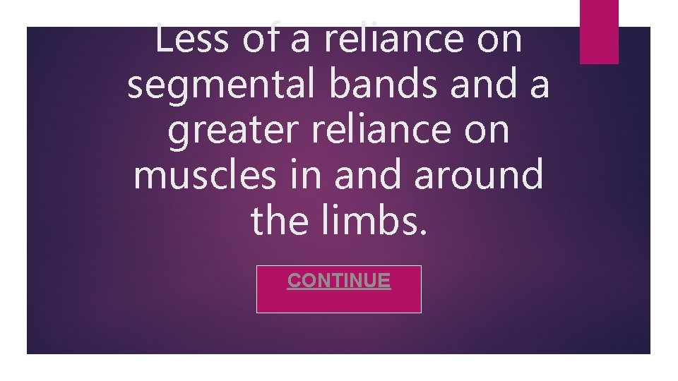 Less of a reliance on segmental bands and a greater reliance on muscles in