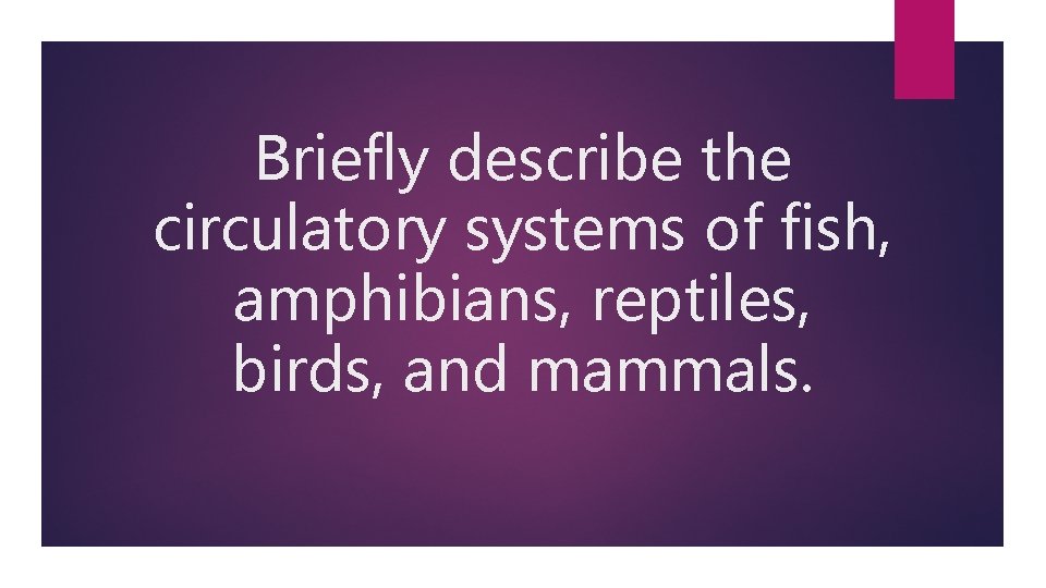 Briefly describe the circulatory systems of fish, amphibians, reptiles, birds, and mammals. 
