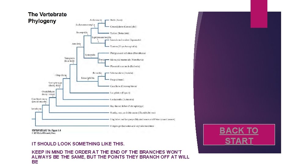 IT SHOULD LOOK SOMETHING LIKE THIS. KEEP IN MIND THE ORDER AT THE END
