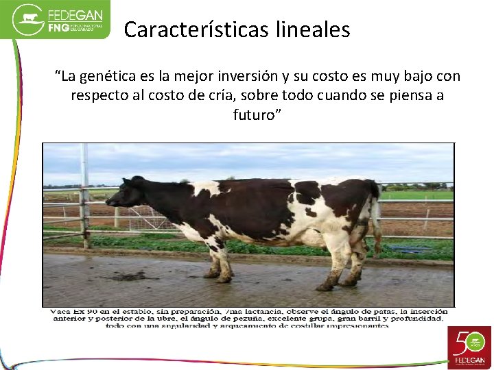 Características lineales “La genética es la mejor inversión y su costo es muy bajo